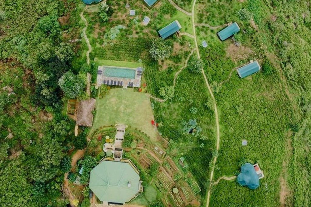Madulkelle Tea and Eco Lodge